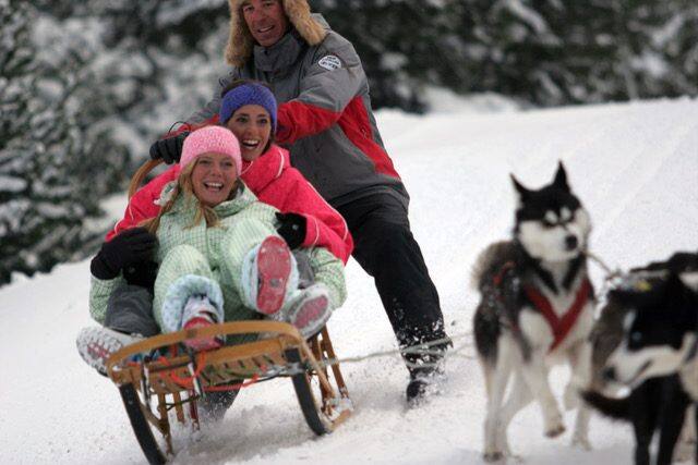 Mushing Experience in the Pyrénées