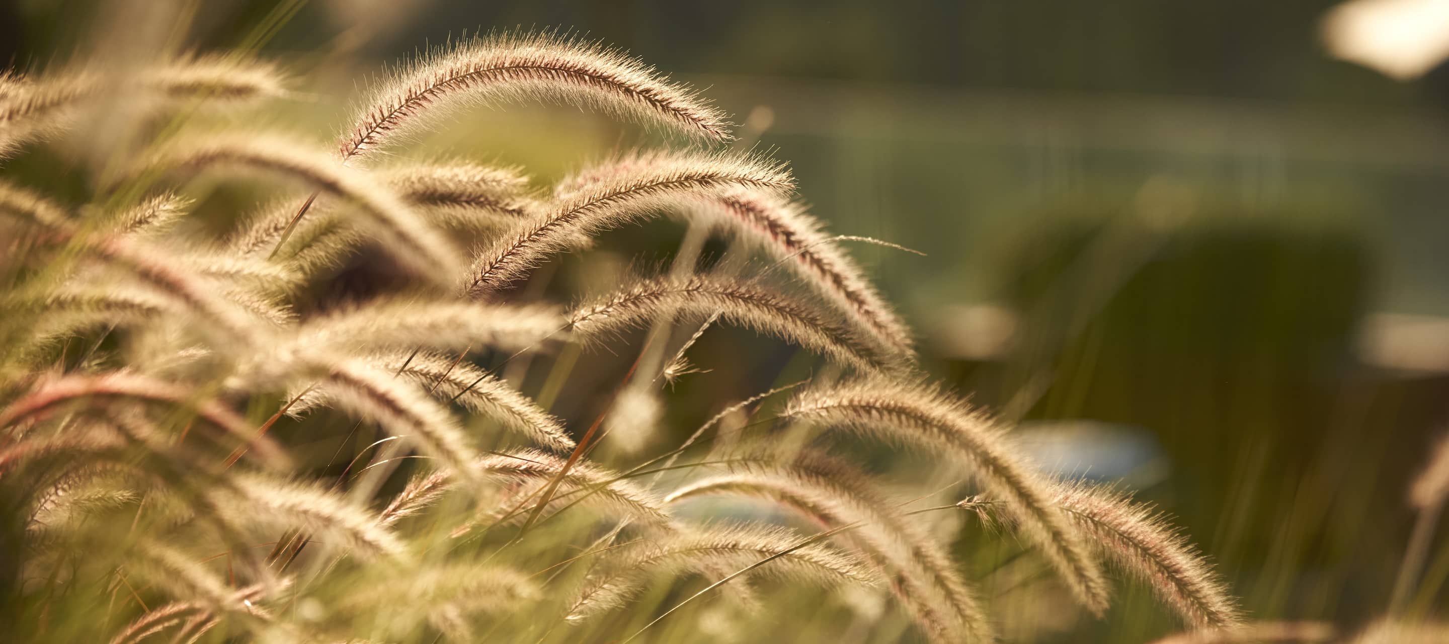 Luxury Hotel Bodrum Map Mandarin Oriental Bodrum