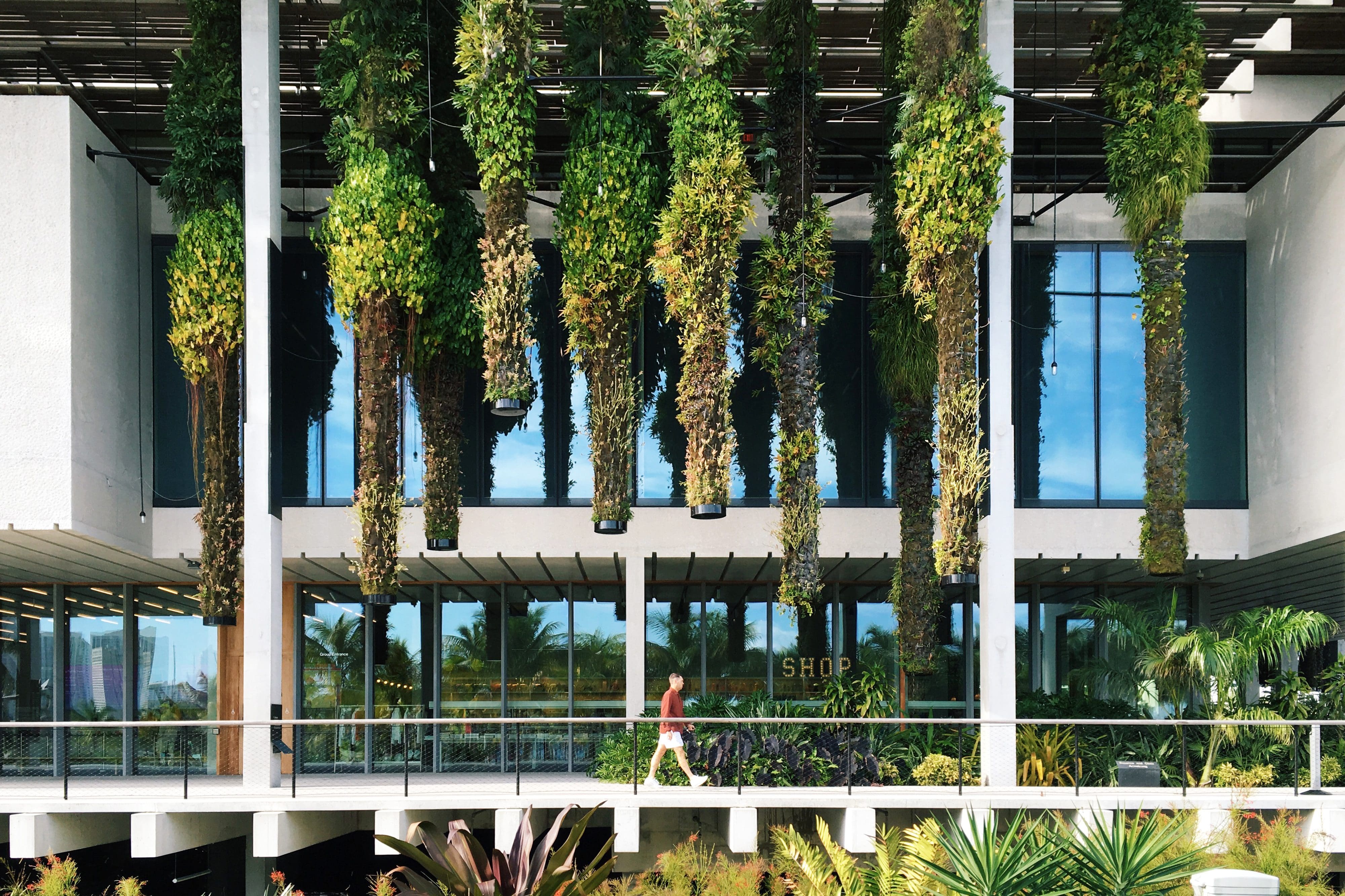 A man strolls beneath plants suspended from the overhanging roof at Perez Art Museum Miami