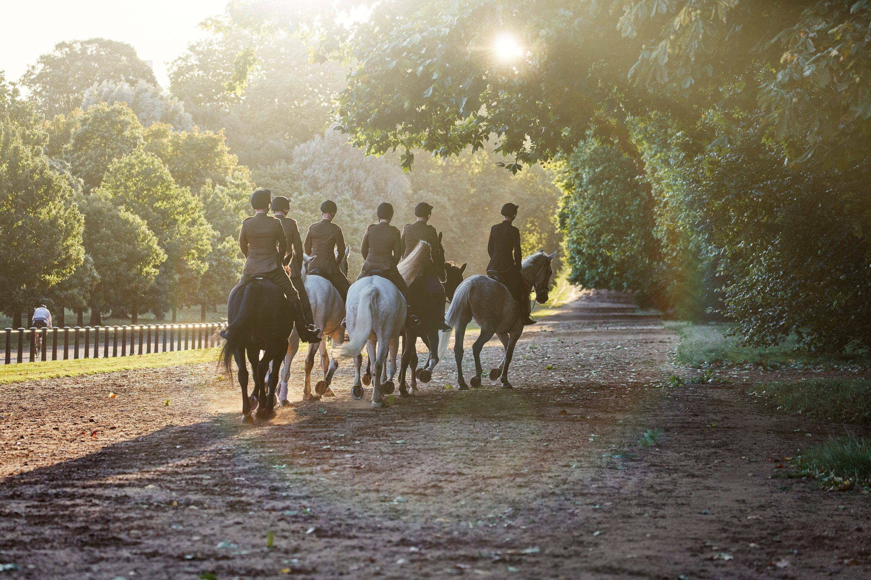 The Royal Household Cavalry in Hyde Park, London 