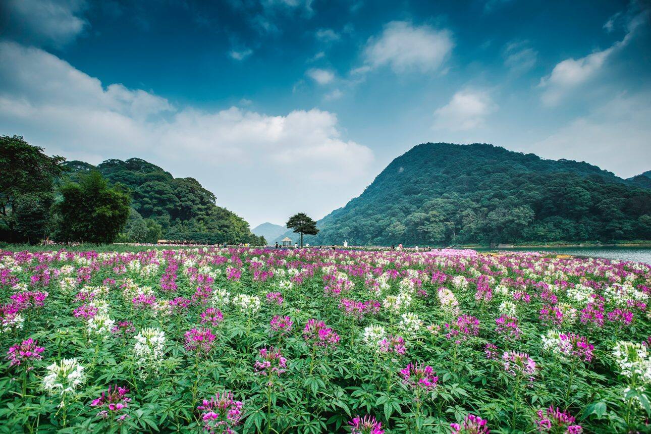 Yushan Mountain