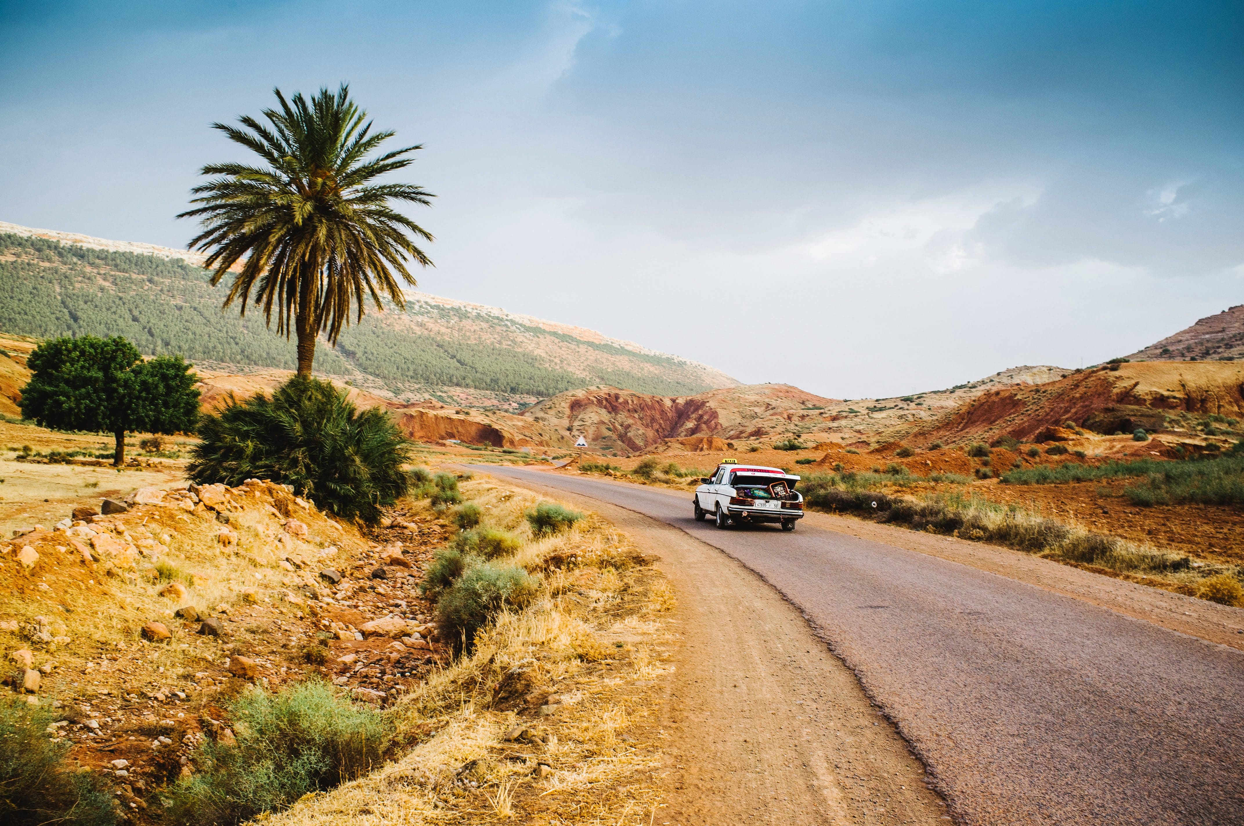A car drives down a deserted road bordered by palm trees on the way to the Atlas Mountains in the distance