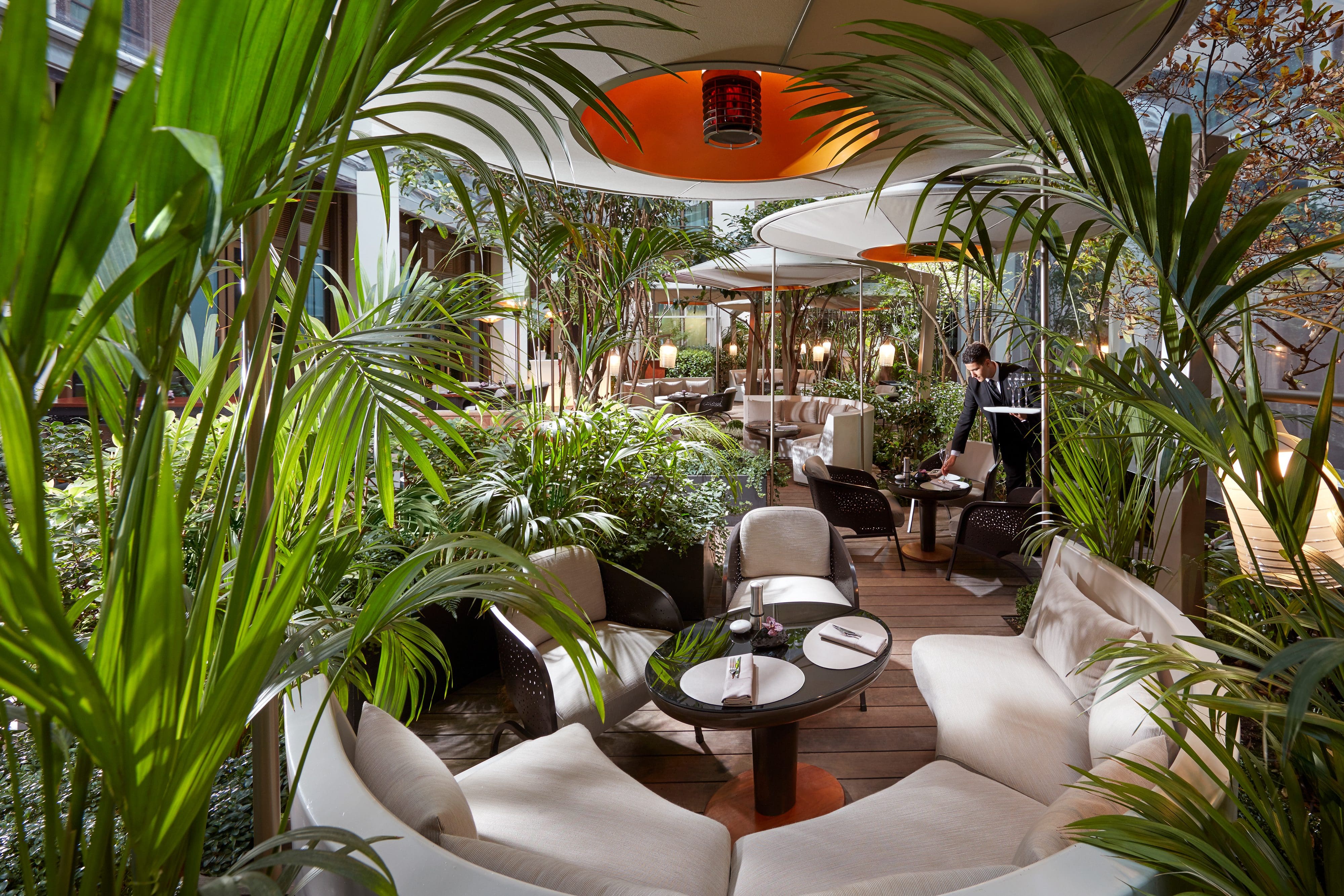 Terrace restaurant Camélia at Mandarin Oriental, Paris