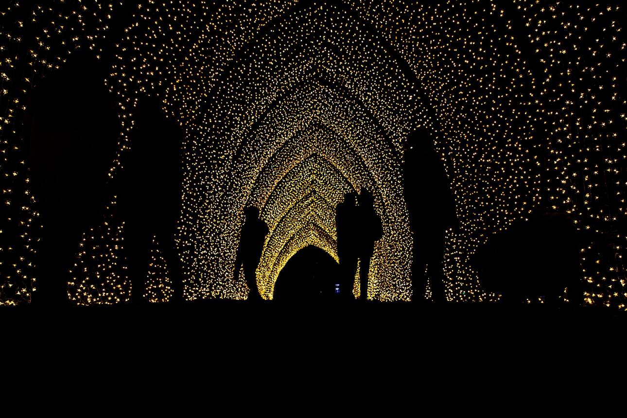 People standing under a canopy of fairy lights