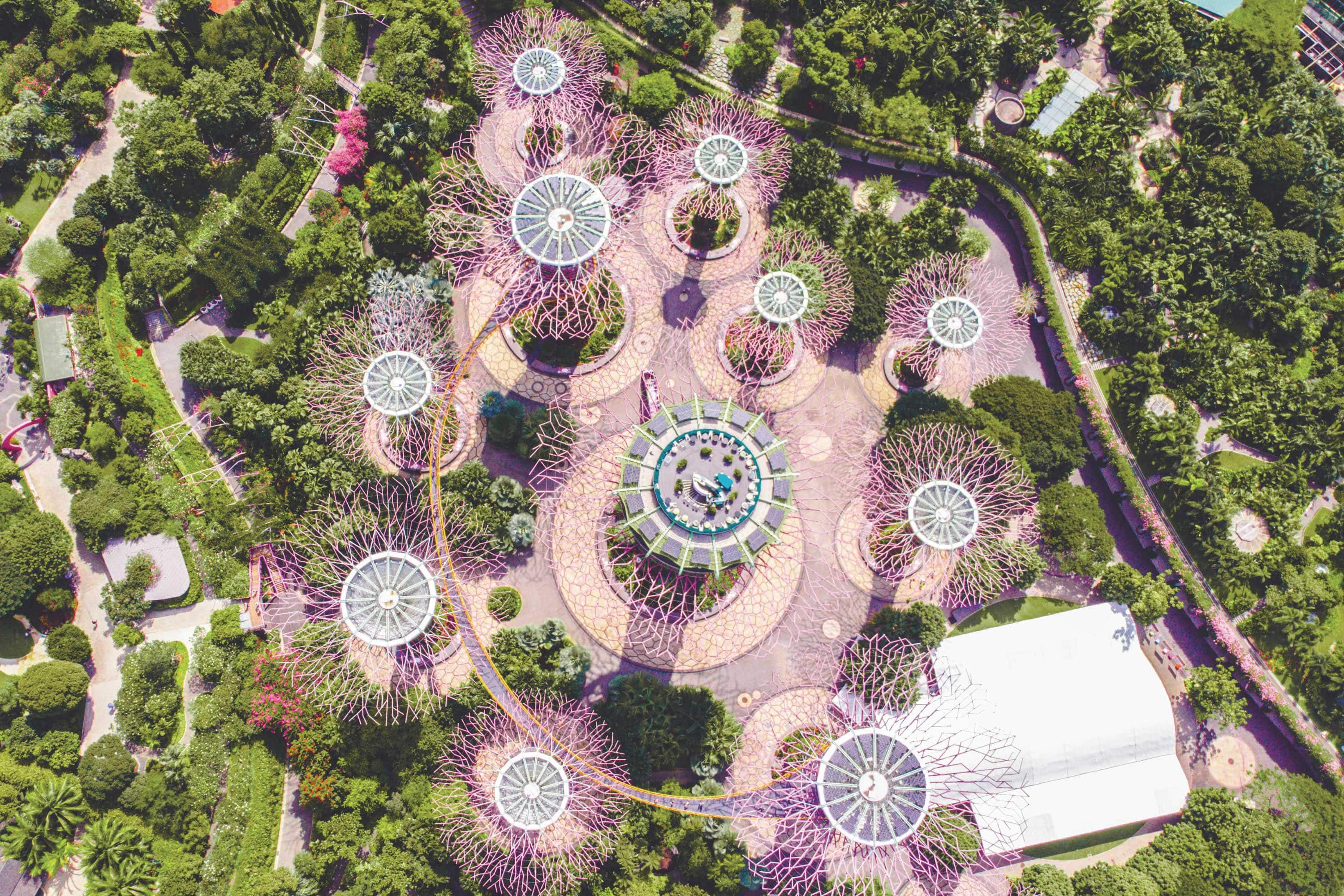 Supertrees at Gardens by the Bay, Singapore