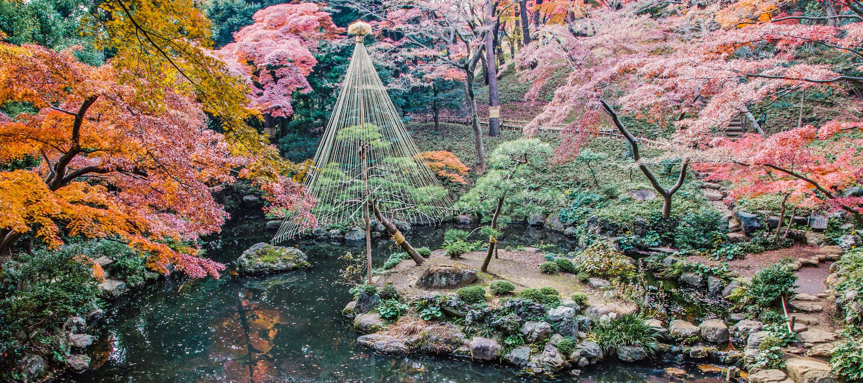Tokyo S Finest Japanese Gardens