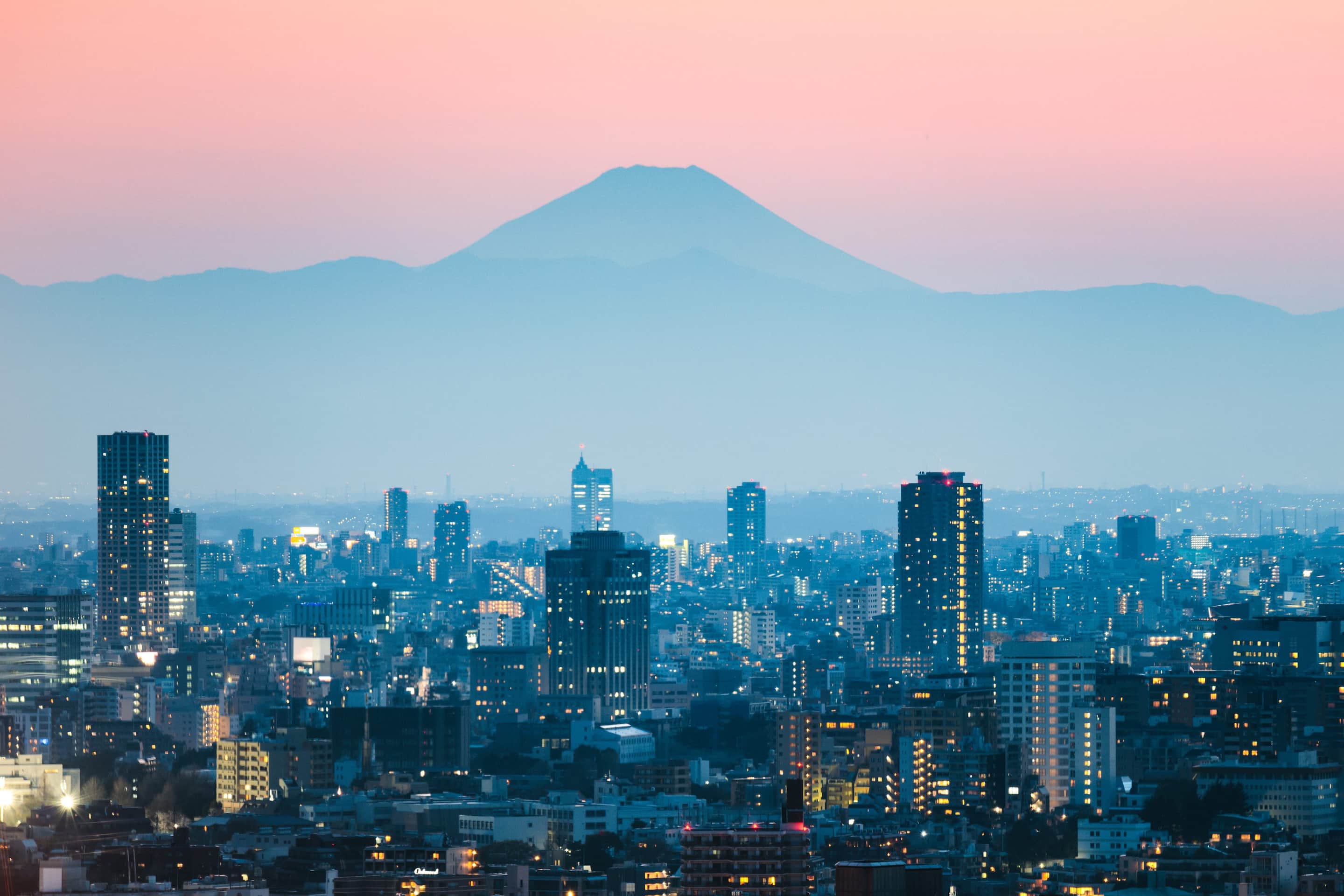 View of Tokyo skyline