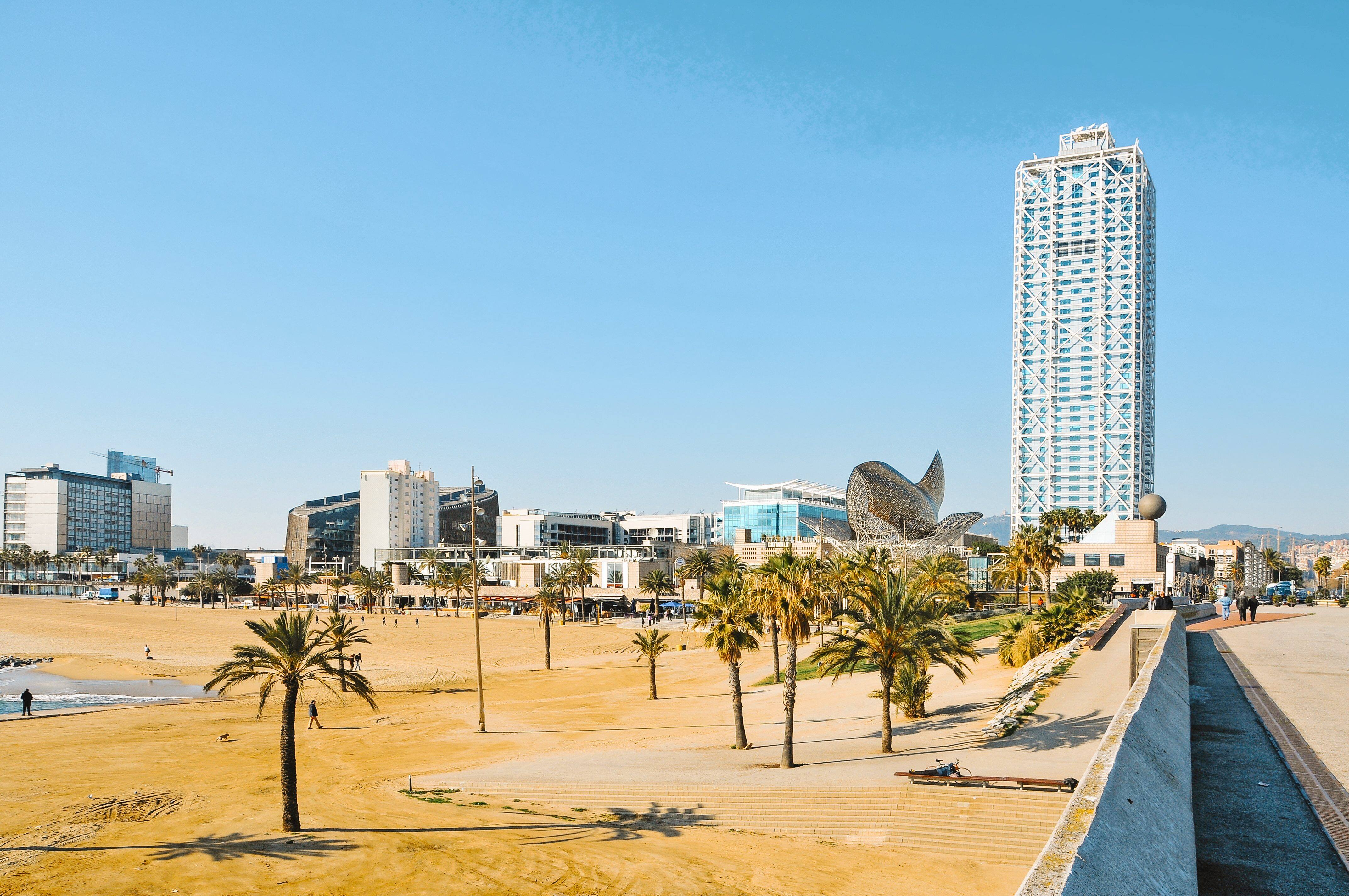 The shoreline of La Barceloneta 