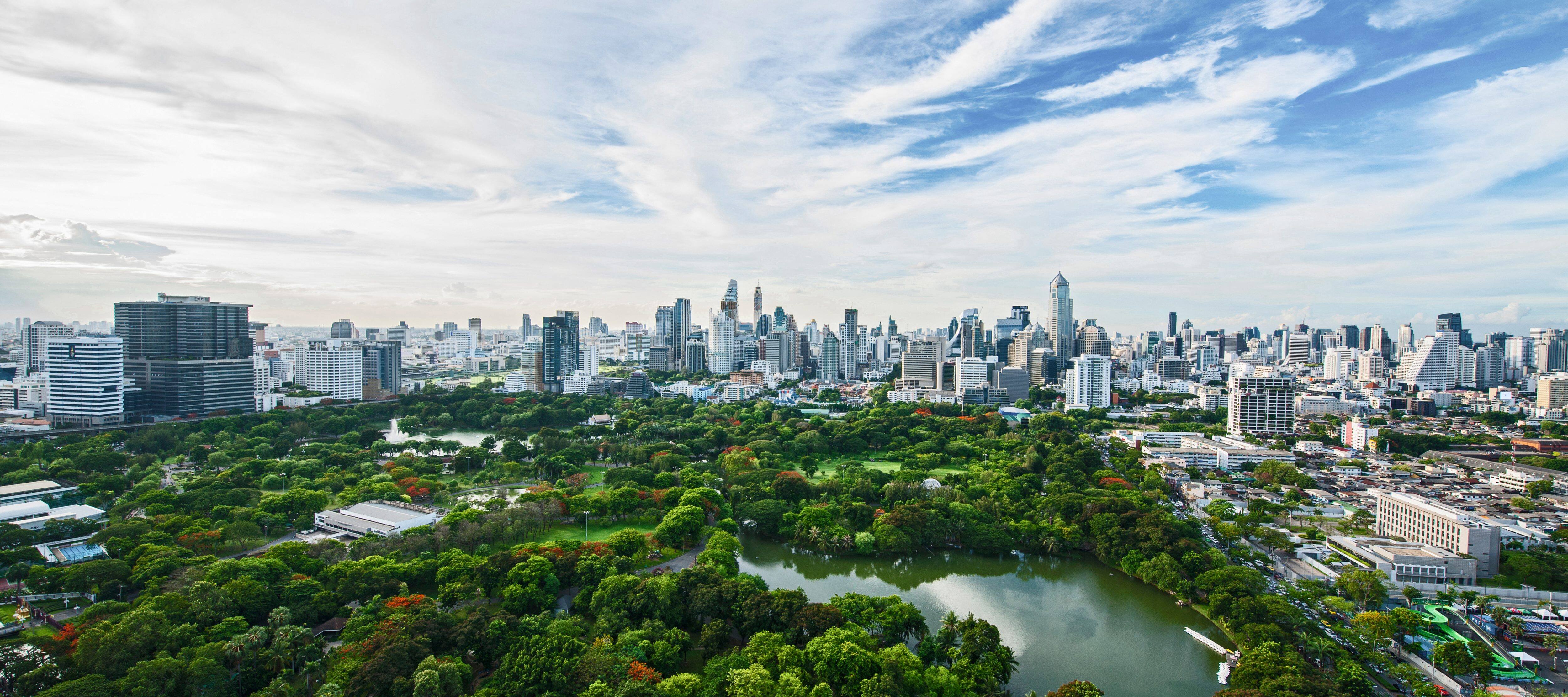The green trees of Benjakitti Park in Bangkok