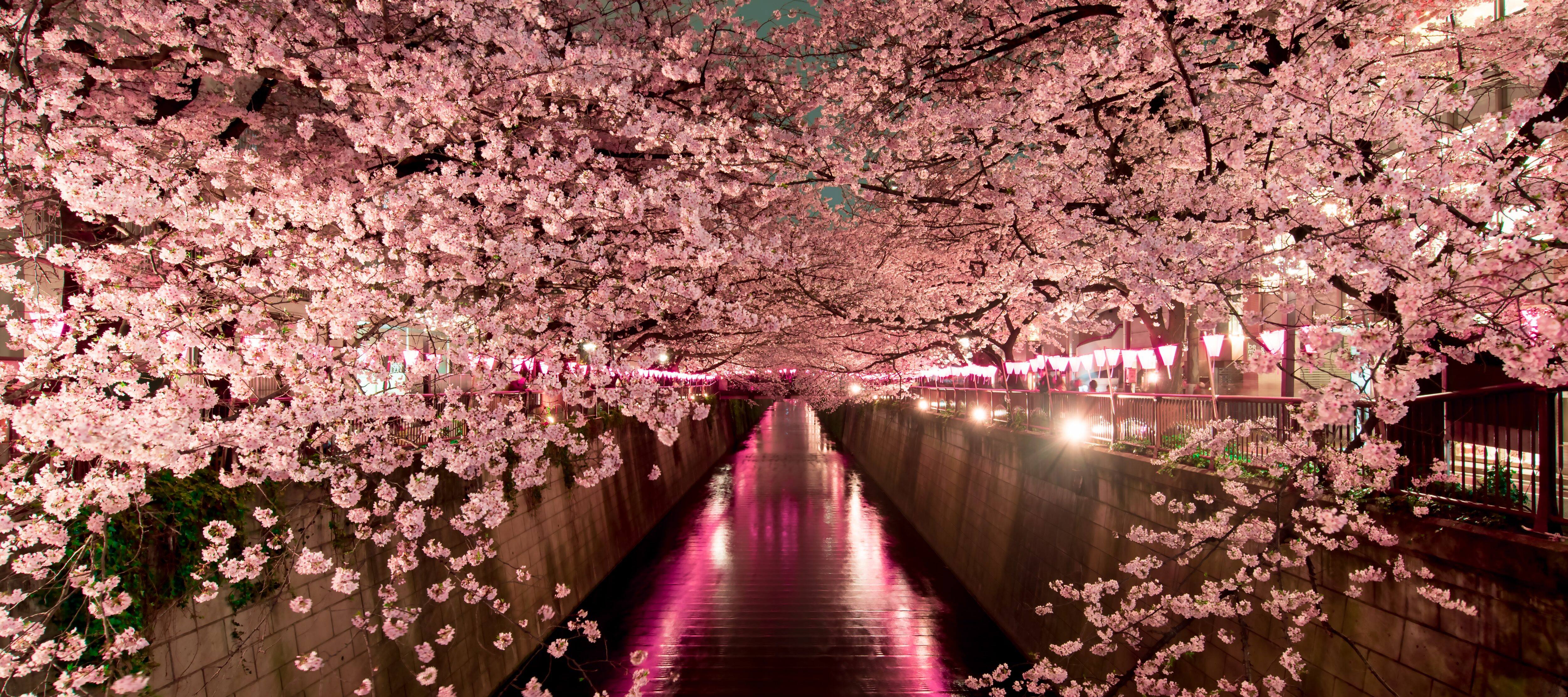 Essential City Guide To Tokyo Mandarin Oriental, Tokyo