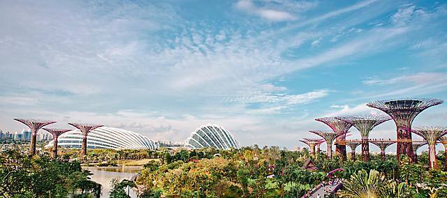 Singapore landscape