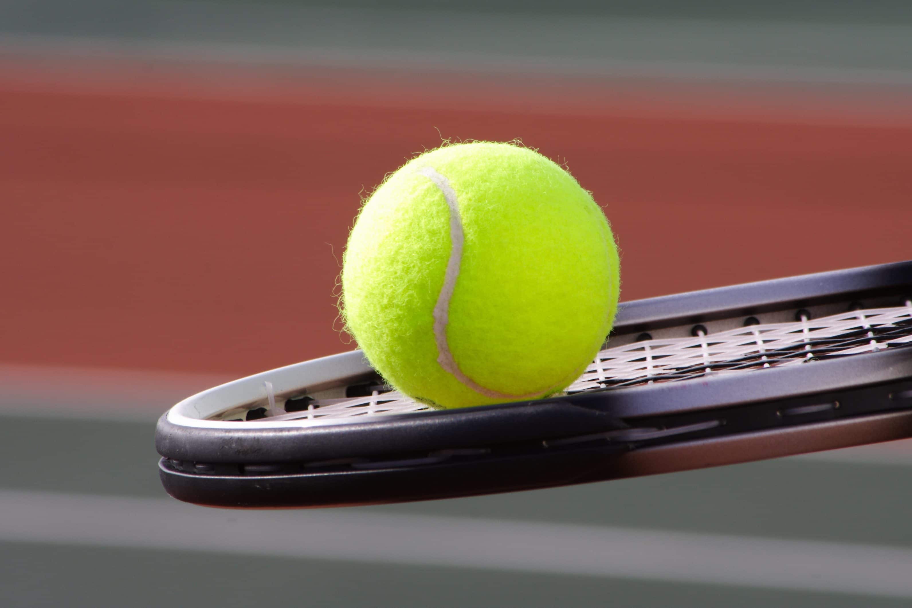 Tennis ball on tennis racket.