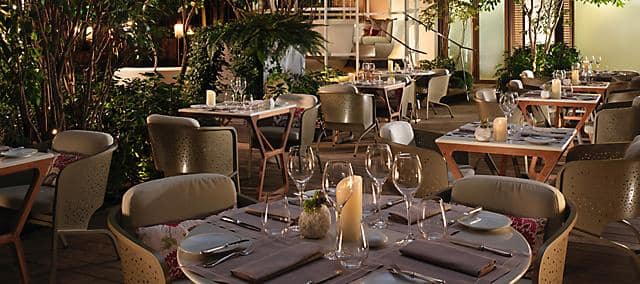 outdoor dining at camelia