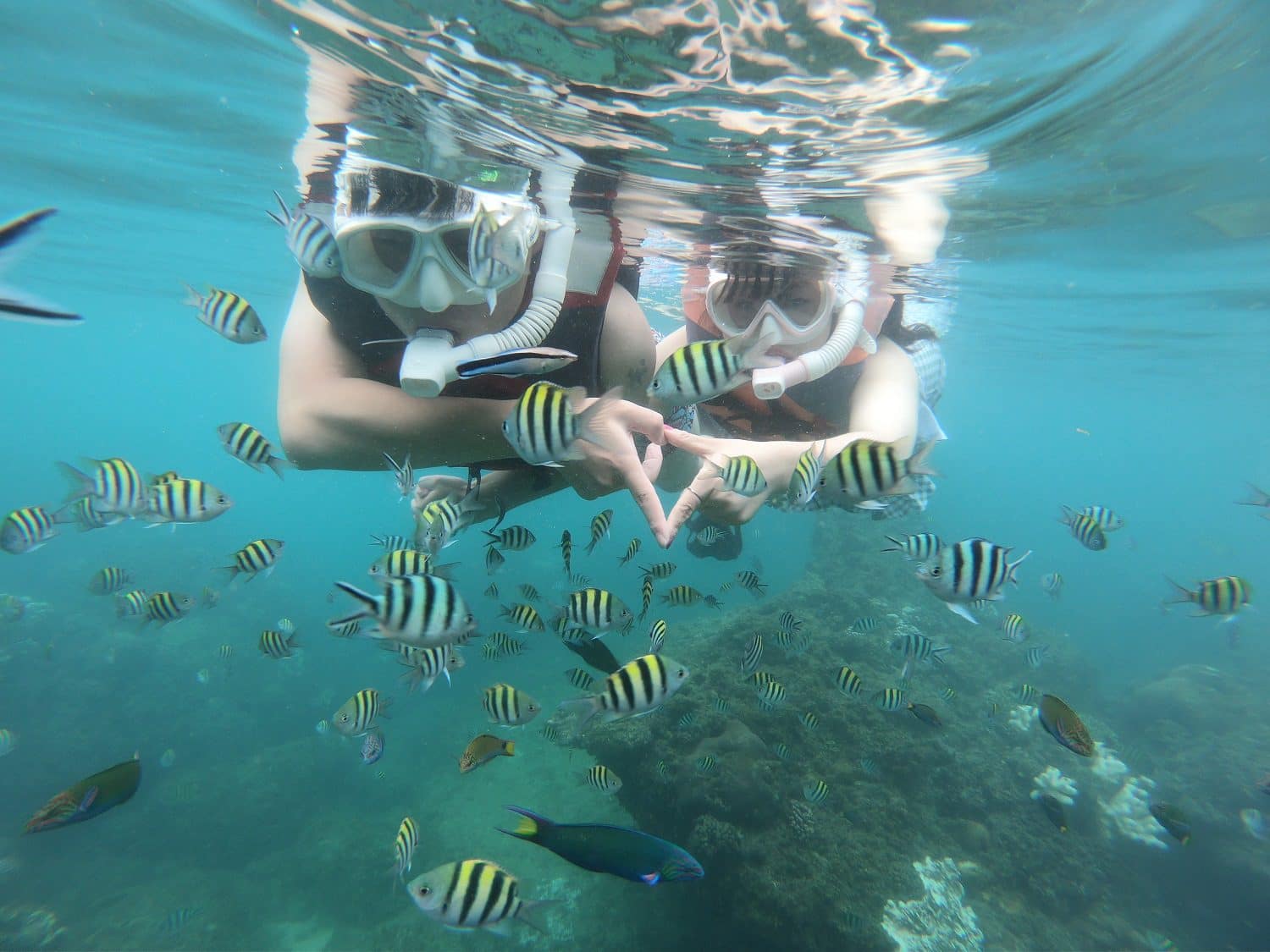 Snorkelling Experience