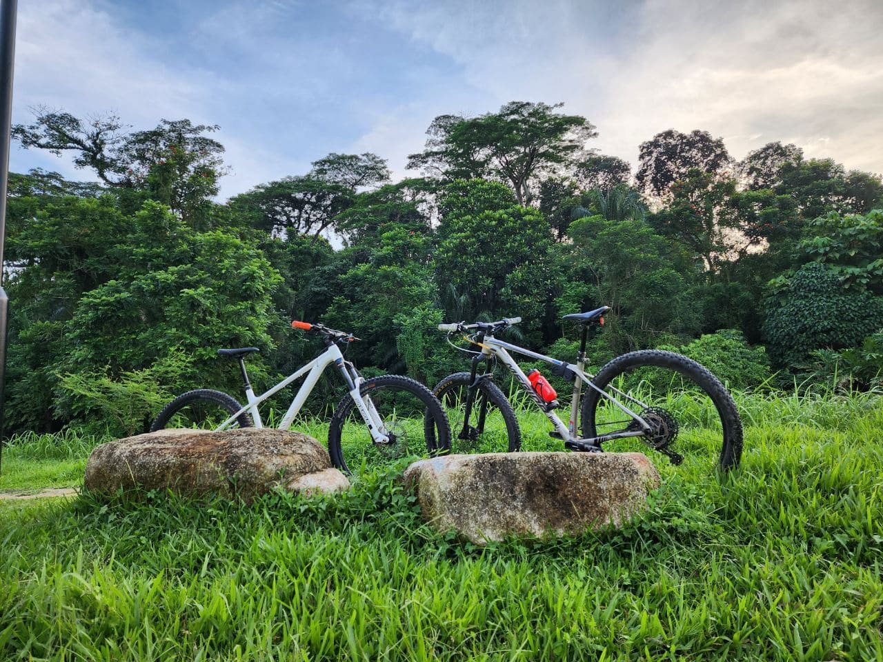 Biking Trail Adventure