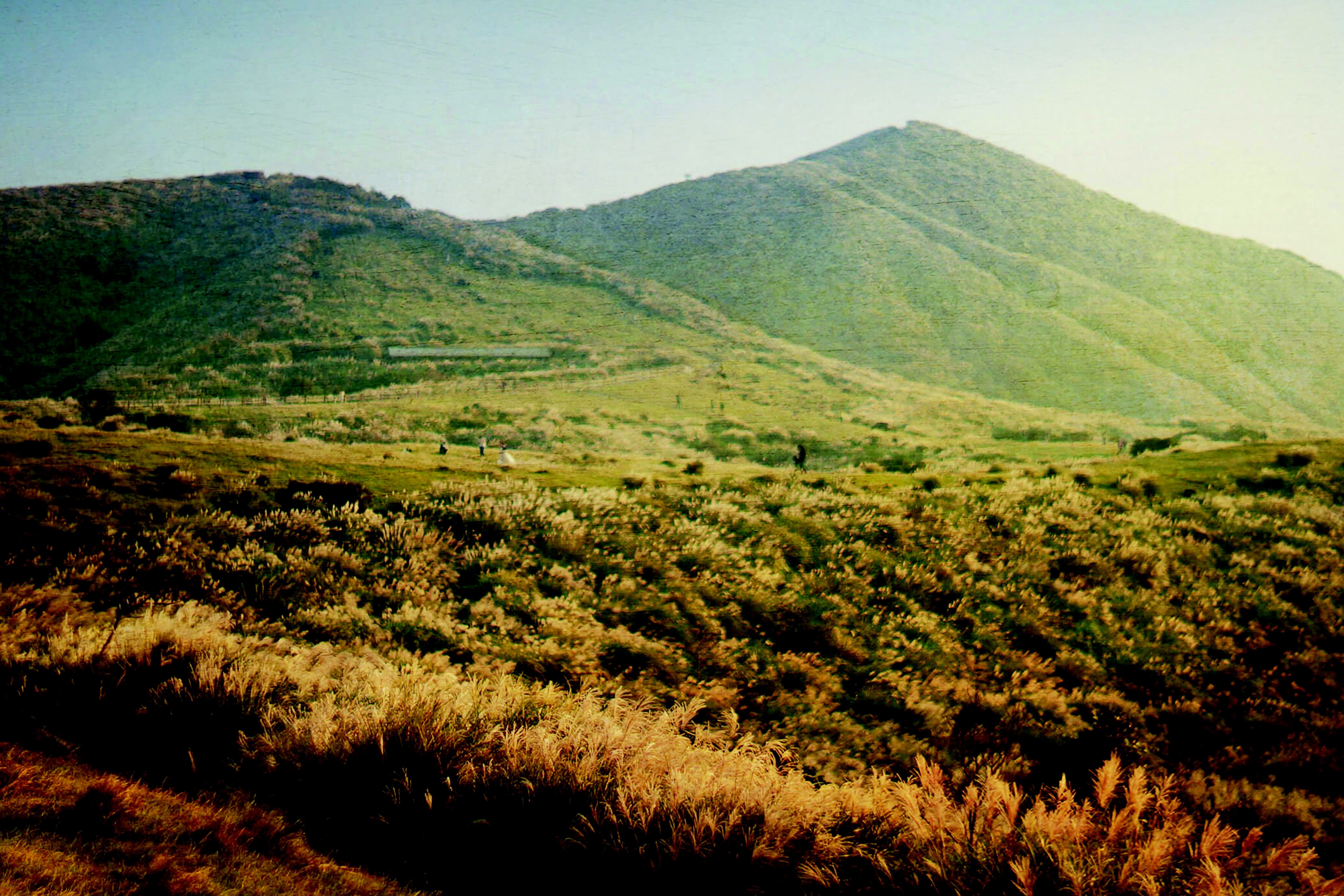 Menghuan Pond Family Hiking & Picnic Experience