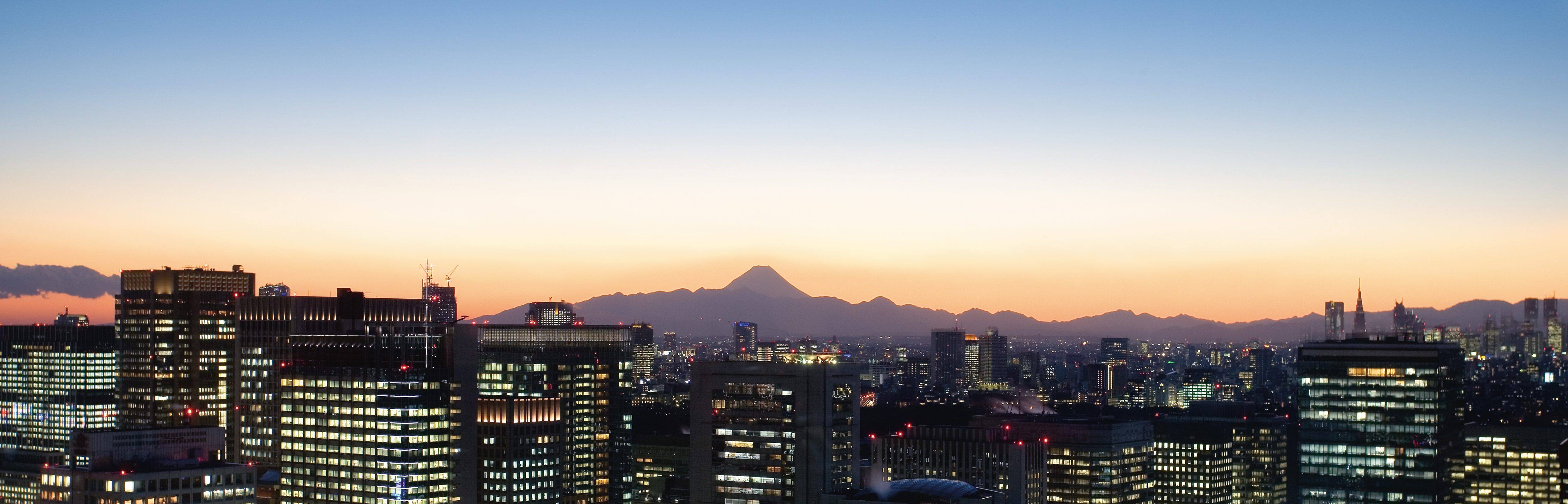 A panoramic view of downtown Tokyo framed by the natural beauty of the surrounding mountains